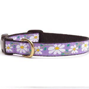 Size Small Violet Daisy Dog Pet Premium Ribbon Collar by Up Country
